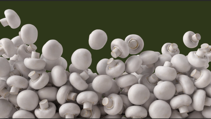 【4K原创】蘑菇6组分镜超清展示动画