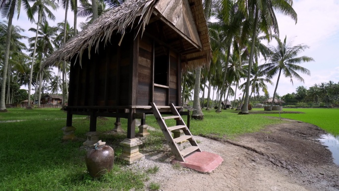 椰子树旁的房子视频素材