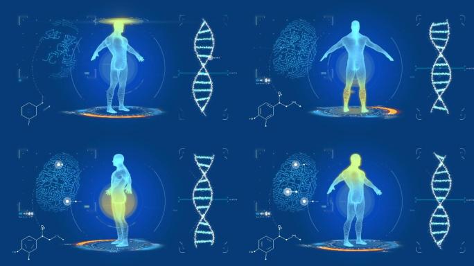 人的全息投影。测试和分析。