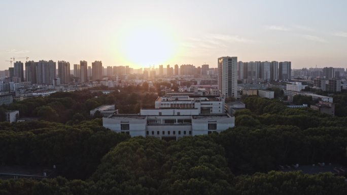 夕阳城市航拍(有鸟儿飞过)