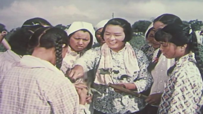 60年代上海农业副业生产
