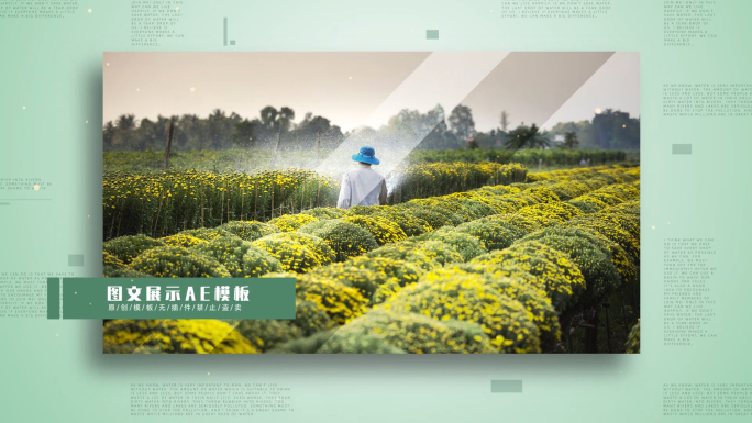 40图产业扶贫绿色生态新农村照片包装展示