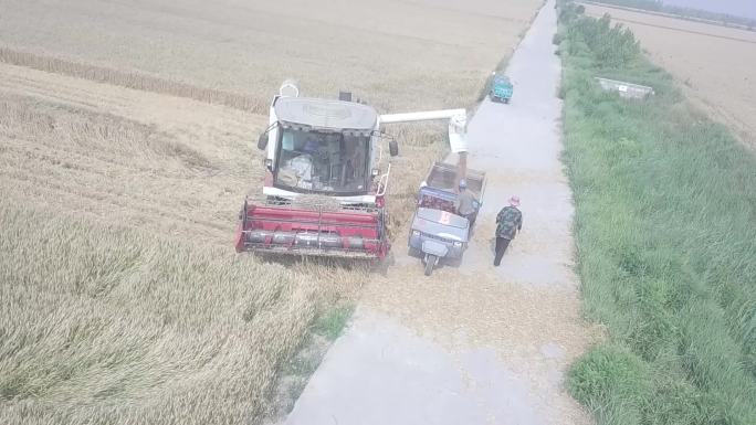 高清航拍收割麦子联合收割机田地麦收农民