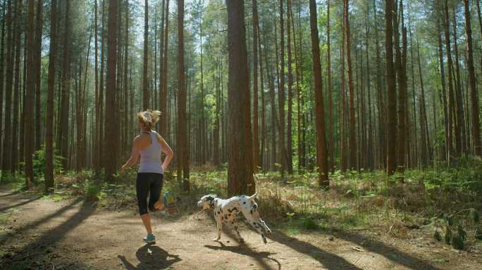 成年妇女带着她的斑点狗跑步