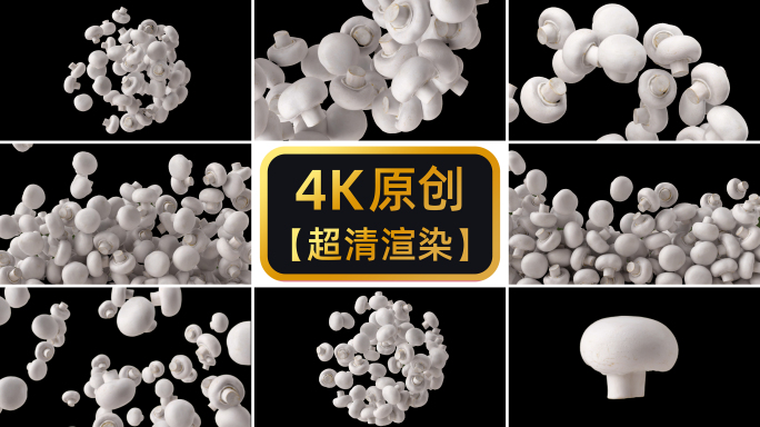【4K原创】蘑菇透明通道6组分镜展示动画