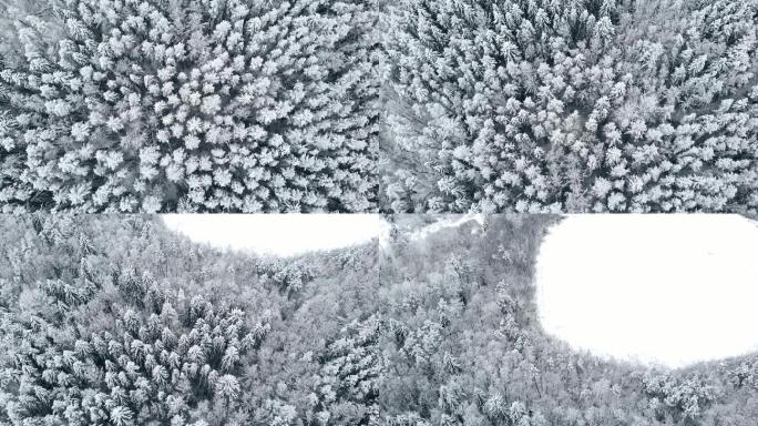 北部的冬季森林冰霜千里寒冷雪景航拍俯瞰