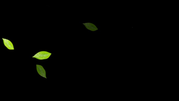 绿色茶叶快速闪烁动画