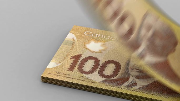 计算加元加拿大货币国际货币外币经济危机