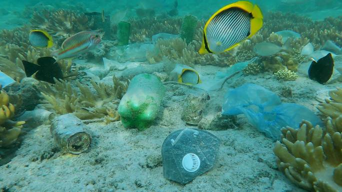 海洋垃圾污染海洋污染塑料袋珊瑚礁污染