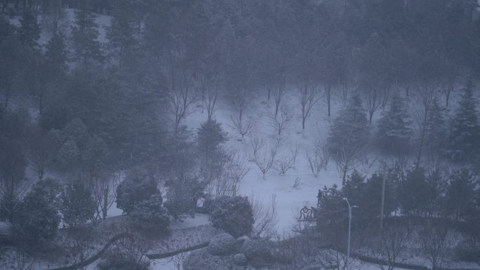 原创4K素材雪地远景人走过