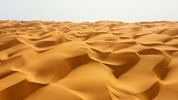 沙漠 沙丘 塔克拉玛干沙漠