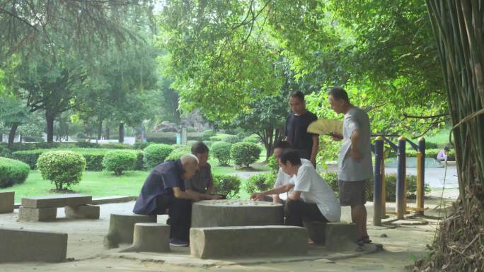 公园下棋一组 老年生活 下象棋 晚年生活