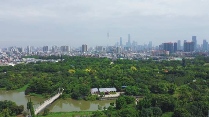 广州海珠湿地，城市“绿肺”，生态引领