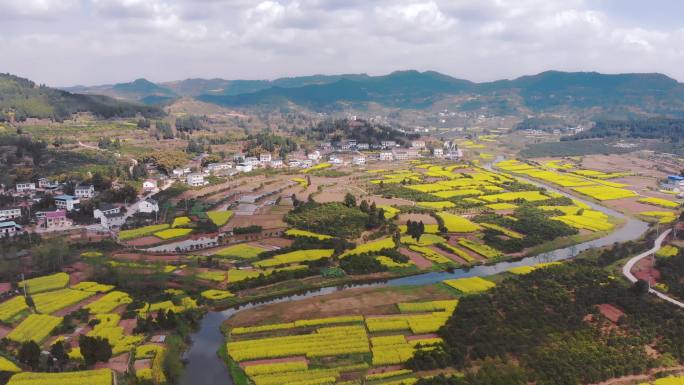 航拍四川乡村油菜花田野