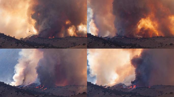 延时森林火灾火势快速蔓延生态破坏