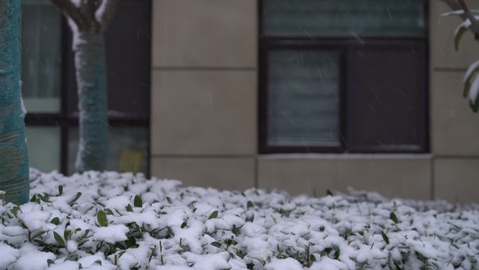 原创4K素材下雪天窗户雪落下安静氛围