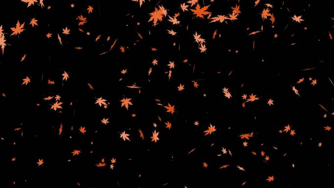 落叶动画。秋天的枫叶