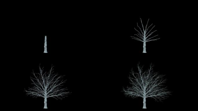 3D动漫生长的树