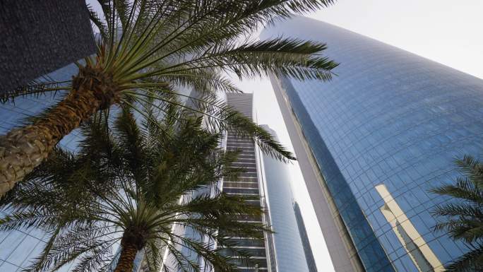 棕榈树和摩天大楼高楼大厦写字楼办公楼