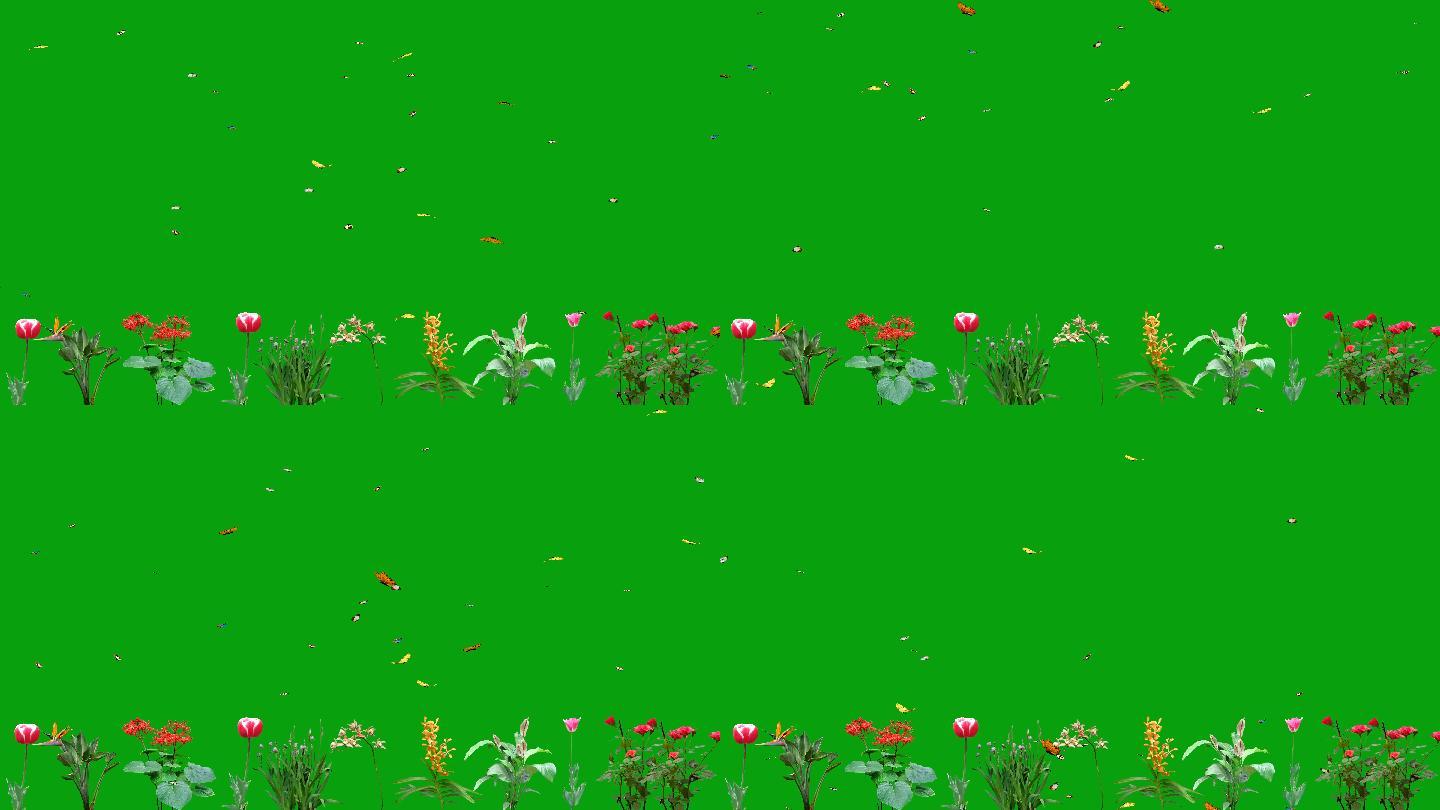 在绿色屏幕上有开花植物和蝴蝶