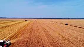 万亩麦田收割航拍视频素材