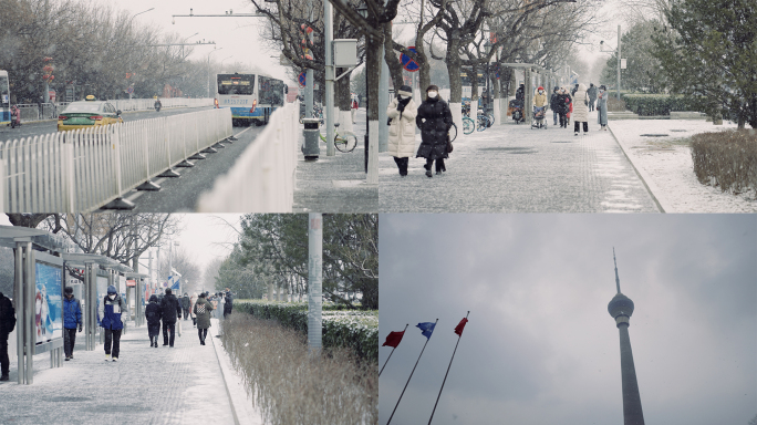 【4K】寒冬飞雪日景02-升格空镜