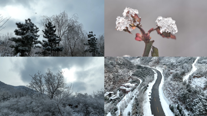 【4K】下雪雪景