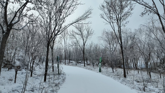 【4K】下雪雪景