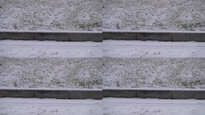 原创4K素材雪景安静氛围