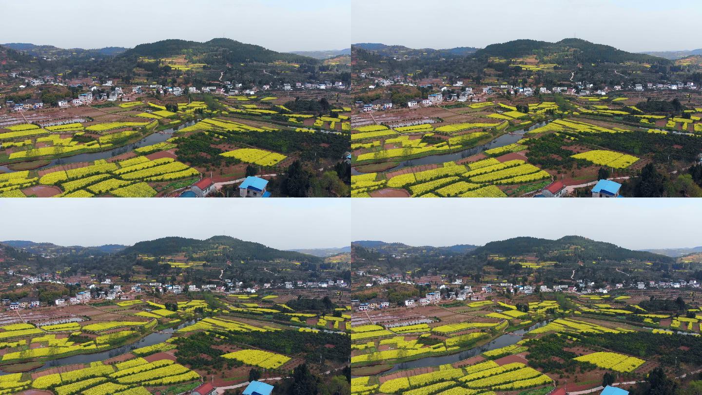 航拍春天田野河流村庄