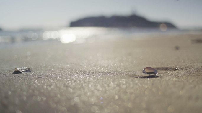 海滩上的贝壳小清新唯美微电影浪漫