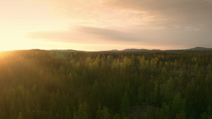 日落时森林小屋的空中拍摄