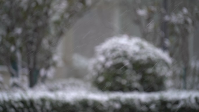 原创4K素材氛围感雪景