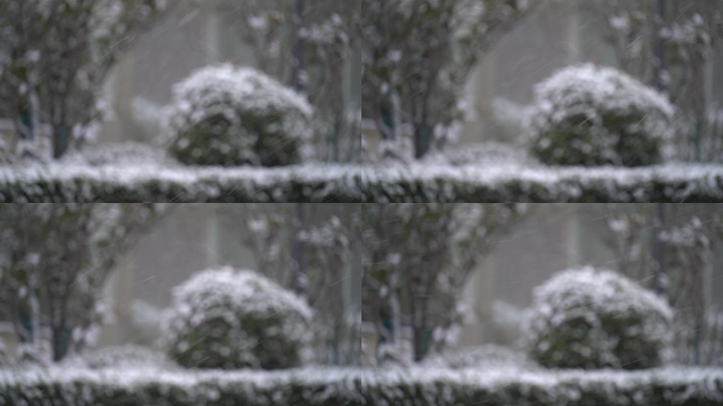 原创4K素材氛围感雪景