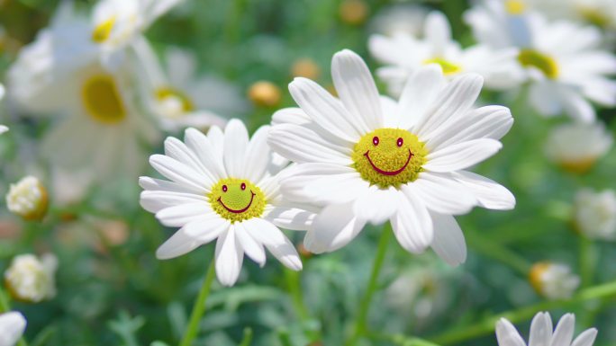 花朵合成笑脸小花