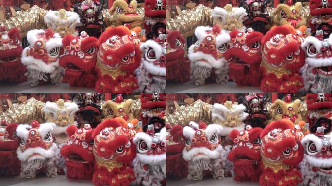 一群中国狮子在新年庆典期间表演。