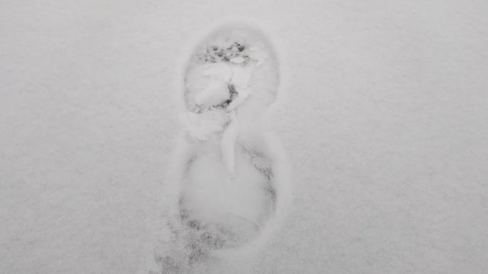 一串脚印 雪地 下雪 雪天 出行