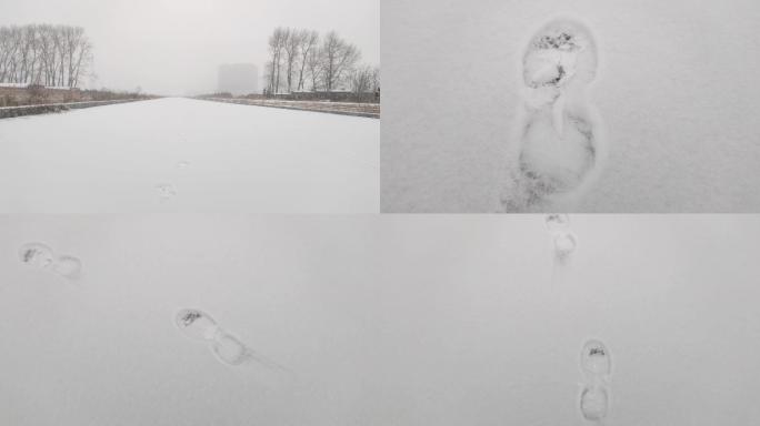 一串脚印 雪地 下雪 雪天 出行