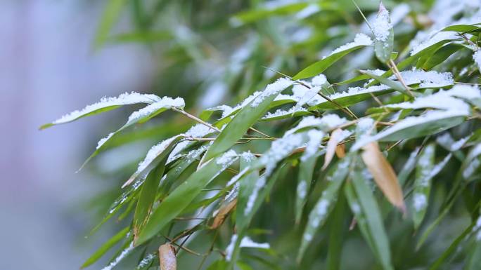 下雪了