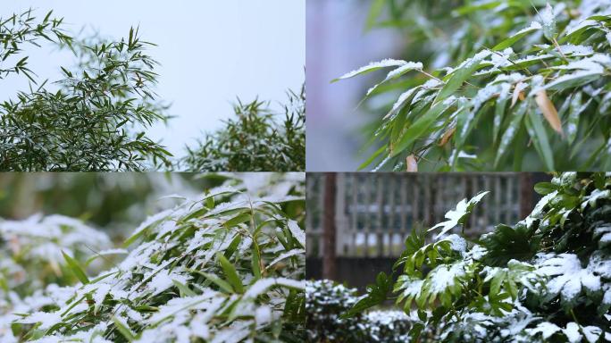 下雪了