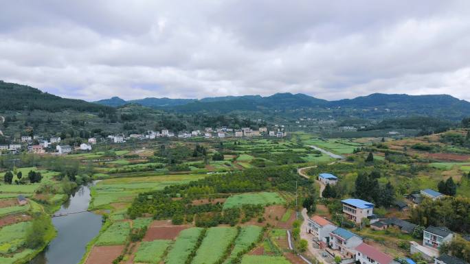 航拍小河流穿过绿色的田野