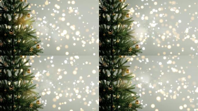 背景上有灯光效果的圣诞树