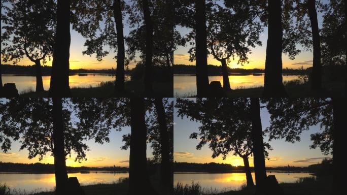 森林湖上的日落树木云天