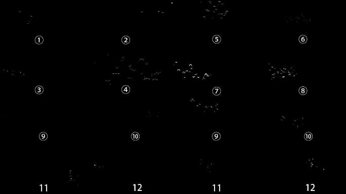 12组4K飞鸟鸟群动画+透明通道