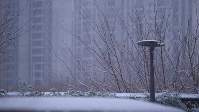 原创4K素材下雪天小区雪景安静氛围