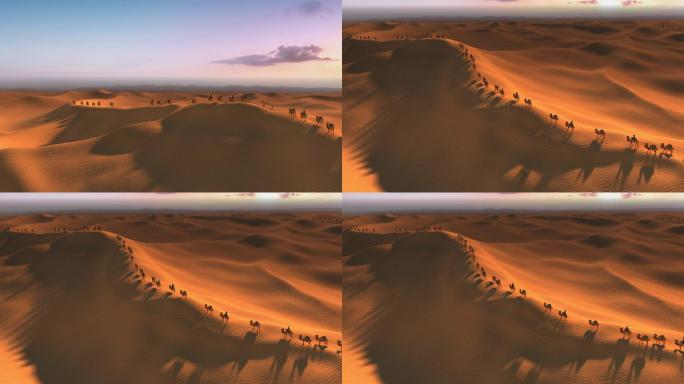 沙漠骆驼 丝绸之路