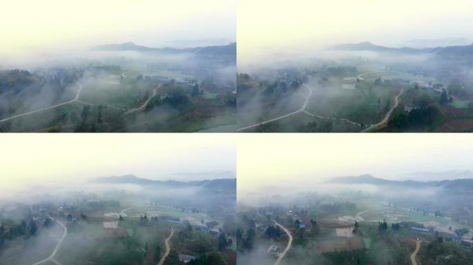 清晨雾气笼罩下的村庄