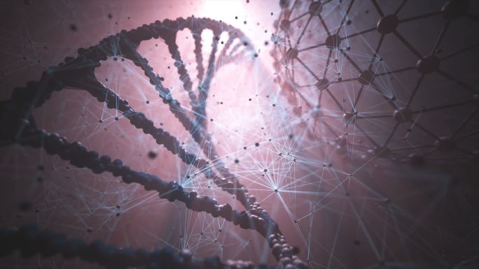 DNA基因生物工程片段研究医疗序列