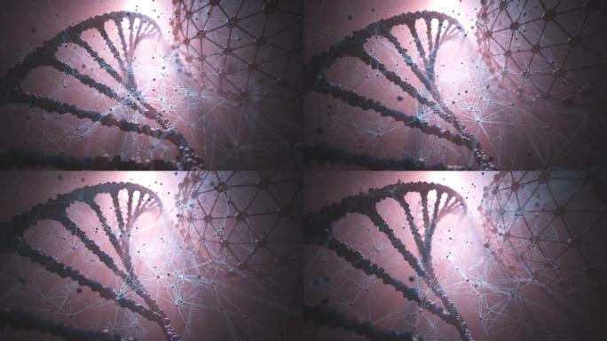 DNA基因生物工程片段研究医疗序列