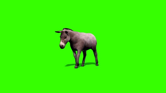 驴子三维动画绿幕
